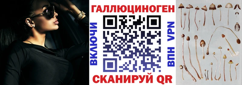 Галлюциногенные грибы Psilocybe  закладка  Отрадная 